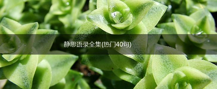 静思语录全集(热门40句),第1张