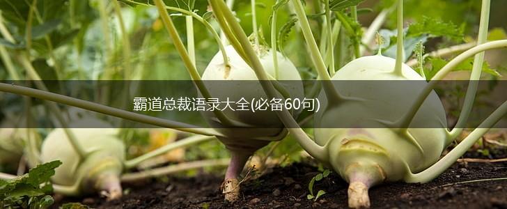 霸道总裁语录大全(必备60句),第1张