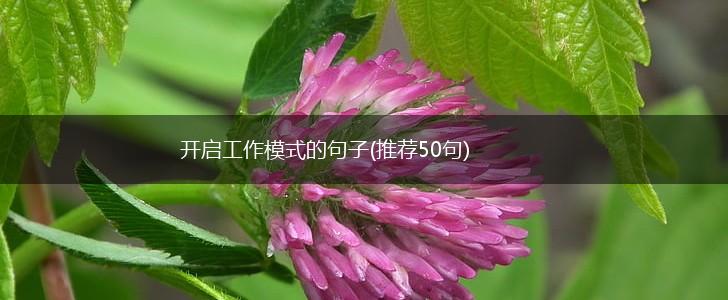 开启工作模式的句子(推荐50句),第1张