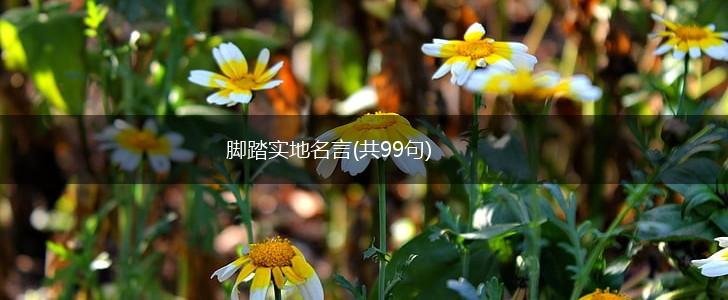 脚踏实地名言(共99句),第1张