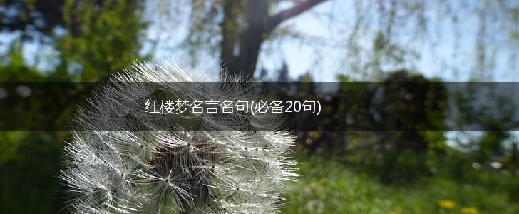 红楼梦名言名句(必备20句),第1张 红楼梦名言名句(必备20句),第1张