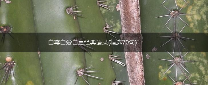 自尊自爱自重经典语录(精选70句),第1张