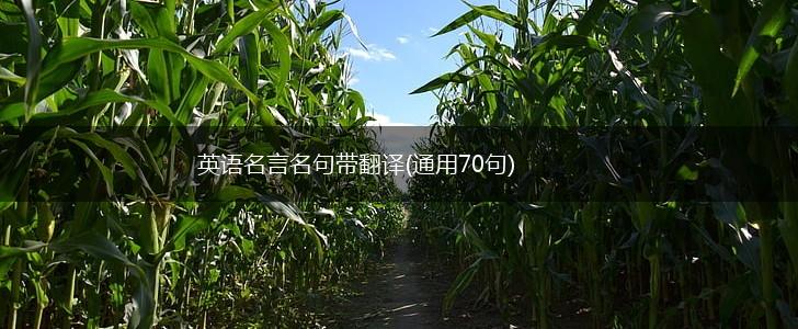 英语名言名句带翻译(通用70句),第1张 英语名言名句带翻译(通用70句),第1张