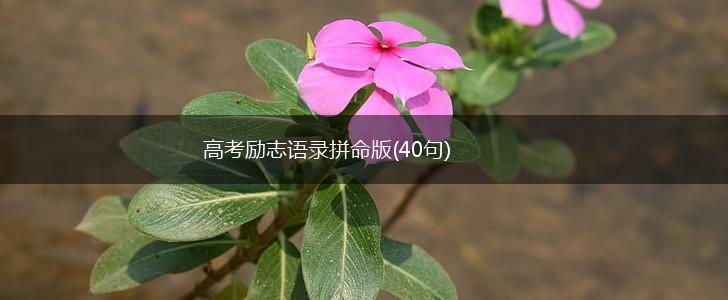 高考励志语录拼命版(40句),第1张