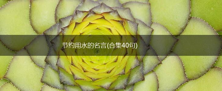 节约用水的名言(合集40句),第1张 节约用水的名言(合集40句),第1张