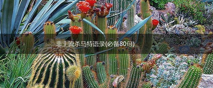非主流杀马特语录(必备80句),第1张