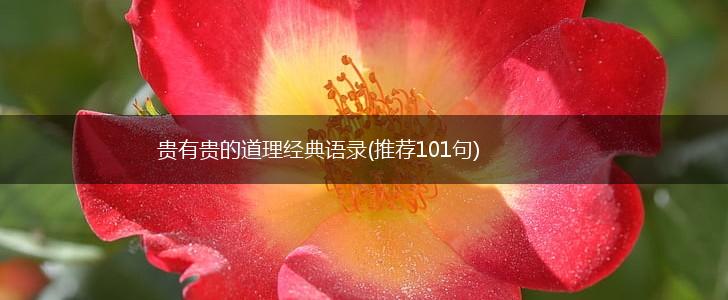 贵有贵的道理经典语录(推荐101句),第1张