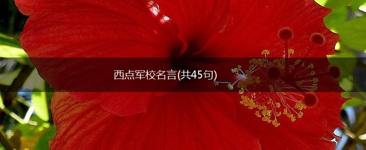 西点军校名言(共45句),第1张