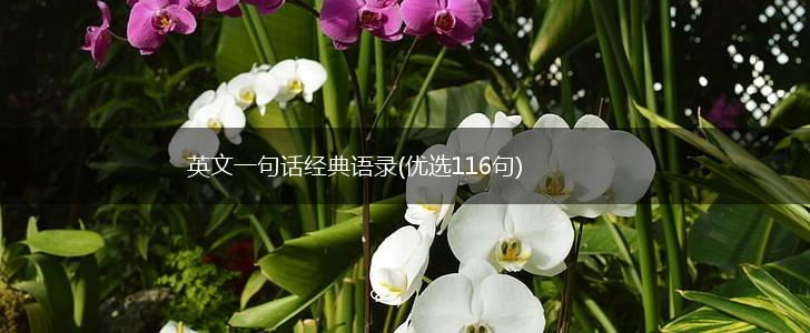 英文一句话经典语录(优选116句),第1张