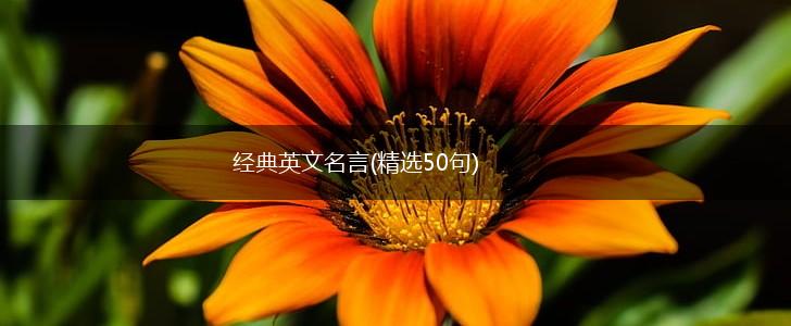 经典英文名言(精选50句),第1张 经典英文名言(精选50句),第1张