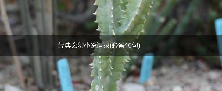 经典玄幻小说语录(必备40句),第1张