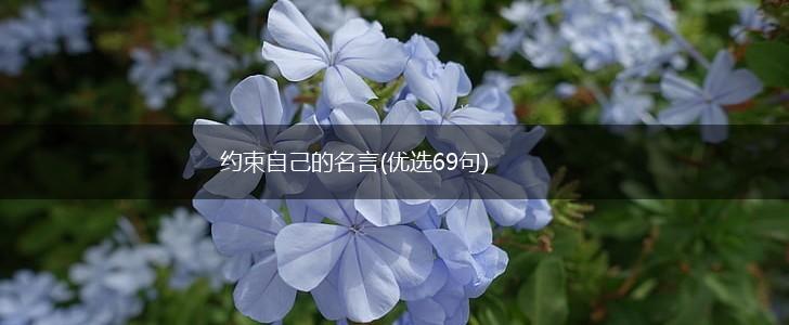 约束自己的名言(优选69句),第1张 约束自己的名言(优选69句),第1张