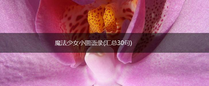 魔法少女小圆语录(汇总30句),第1张