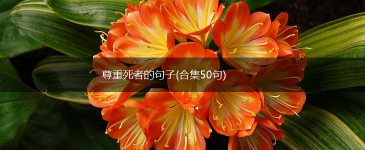 尊重死者的句子(合集50句),第1张 尊重死者的句子(合集50句),第1张