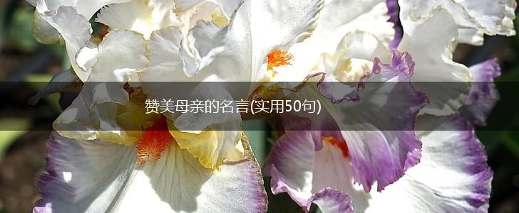 赞美母亲的名言(实用50句),第1张