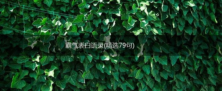 霸气表白语录(精选79句),第1张