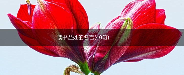 读书益处的名言(40句),第1张 读书益处的名言(40句),第1张