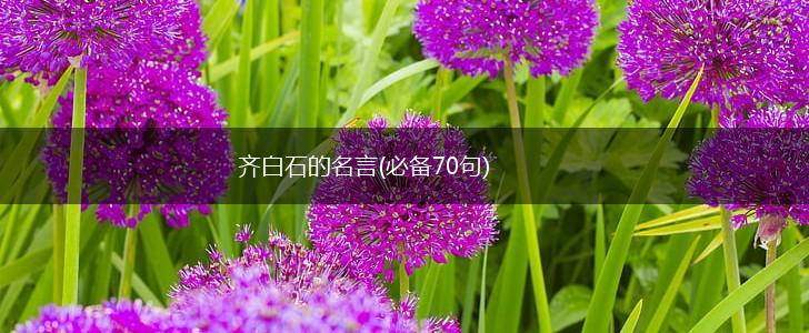 齐白石的名言(必备70句),第1张
