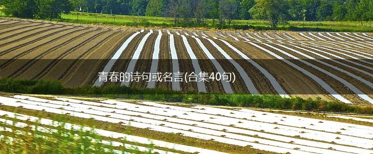青春的诗句或名言(合集40句),第1张