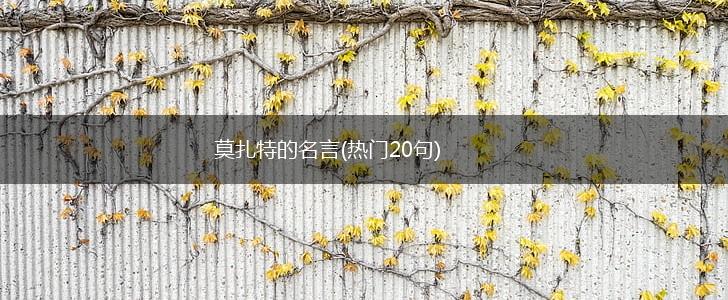 莫扎特的名言(热门20句),第1张 莫扎特的名言(热门20句),第1张