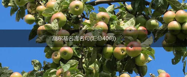 高尔基名言名句(汇总40句),第1张