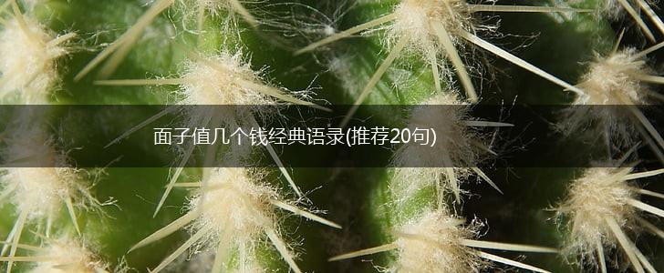 面子值几个钱经典语录(推荐20句),第1张