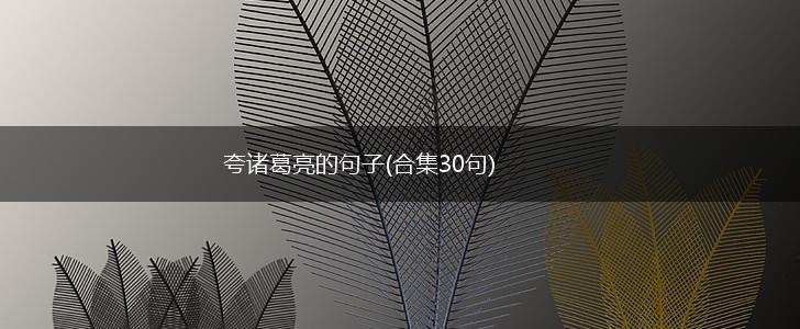 夸诸葛亮的句子(合集30句),第1张