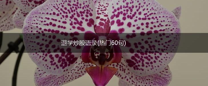 退学炒股语录(热门60句),第1张