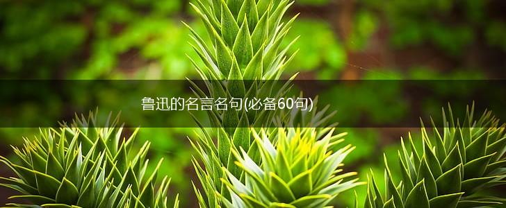 鲁迅的名言名句(必备60句),第1张