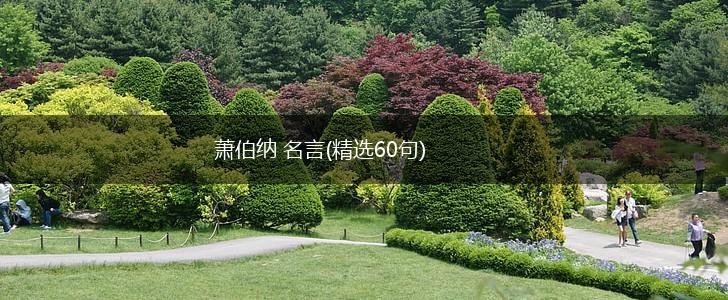 萧伯纳 名言(精选60句),第1张