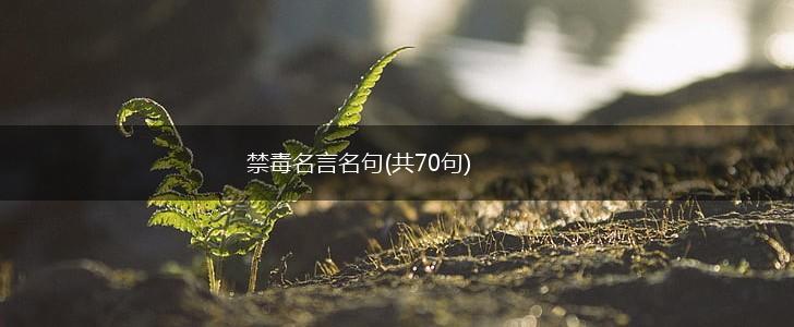 禁毒名言名句(共70句),第1张