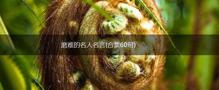 磨难的名人名言(合集60句),第1张