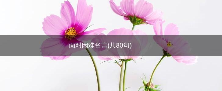 面对困难名言(共80句),第1张