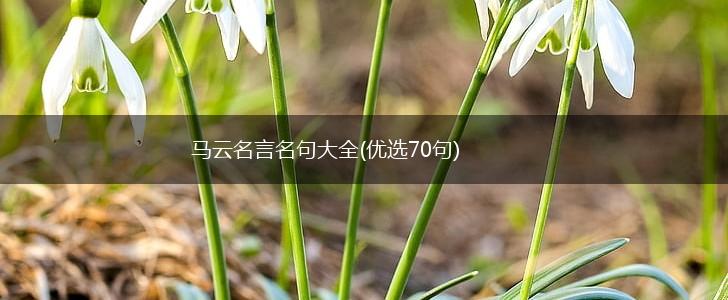 马云名言名句大全(优选70句),第1张