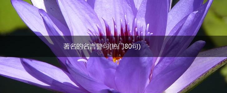 著名的名言警句(热门80句),第1张 著名的名言警句(热门80句),第1张