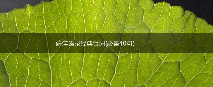 薛洋语录经典台词(必备40句),第1张