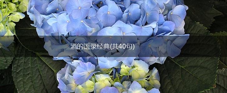 酒的语录经典(共40句),第1张