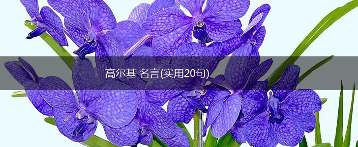 高尔基 名言(实用20句),第1张