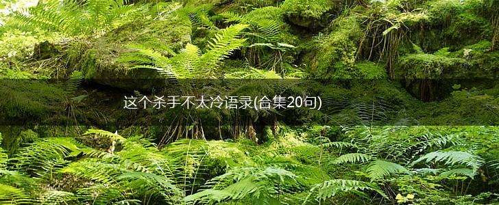 这个杀手不太冷语录(合集20句),第1张