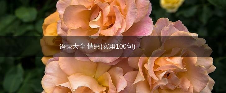 语录大全 情感(实用100句),第1张