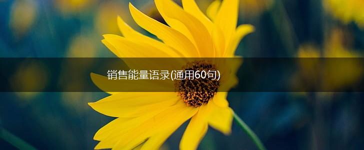 销售能量语录(通用60句),第1张