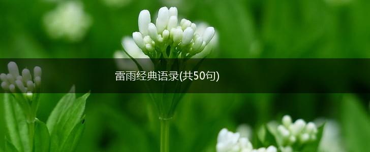 雷雨经典语录(共50句),第1张