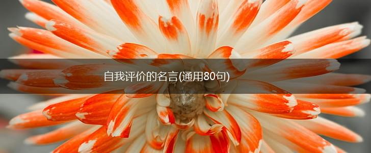 自我评价的名言(通用80句),第1张 自我评价的名言(通用80句),第1张