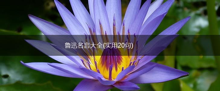 鲁迅名言大全(实用20句),第1张