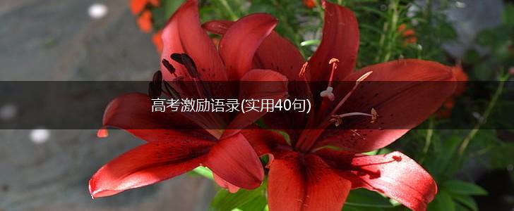 高考激励语录(实用40句),第1张