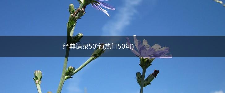 经典语录50字(热门50句),第1张