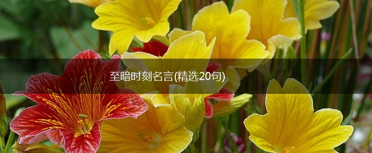 至暗时刻名言(精选20句),第1张