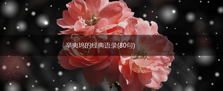 辛夷坞的经典语录(80句),第1张