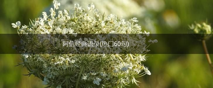 阿信经典语录(热门60句),第1张