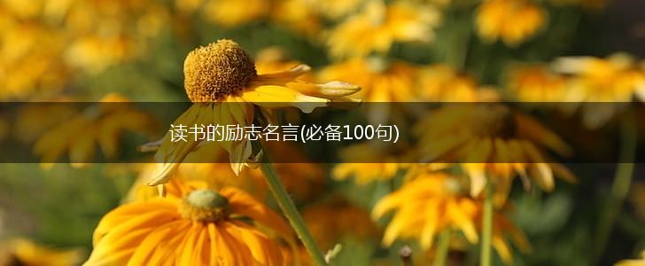 读书的励志名言(必备100句),第1张